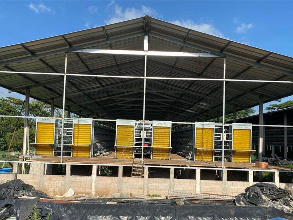 Automatic Poultry Feeding System