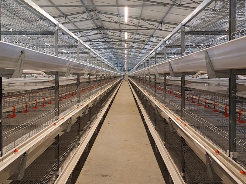 Commercial poultry equipment project preparation and manufacturing view